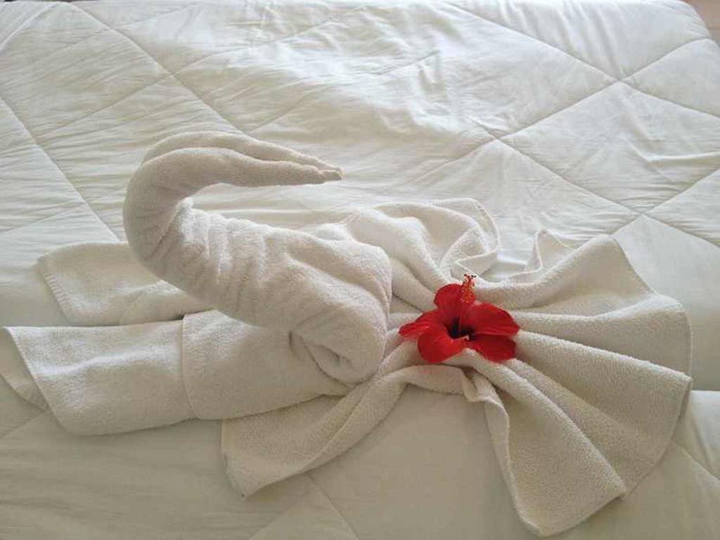 Hotel Aurora سكوري المظهر الخارجي الصورة